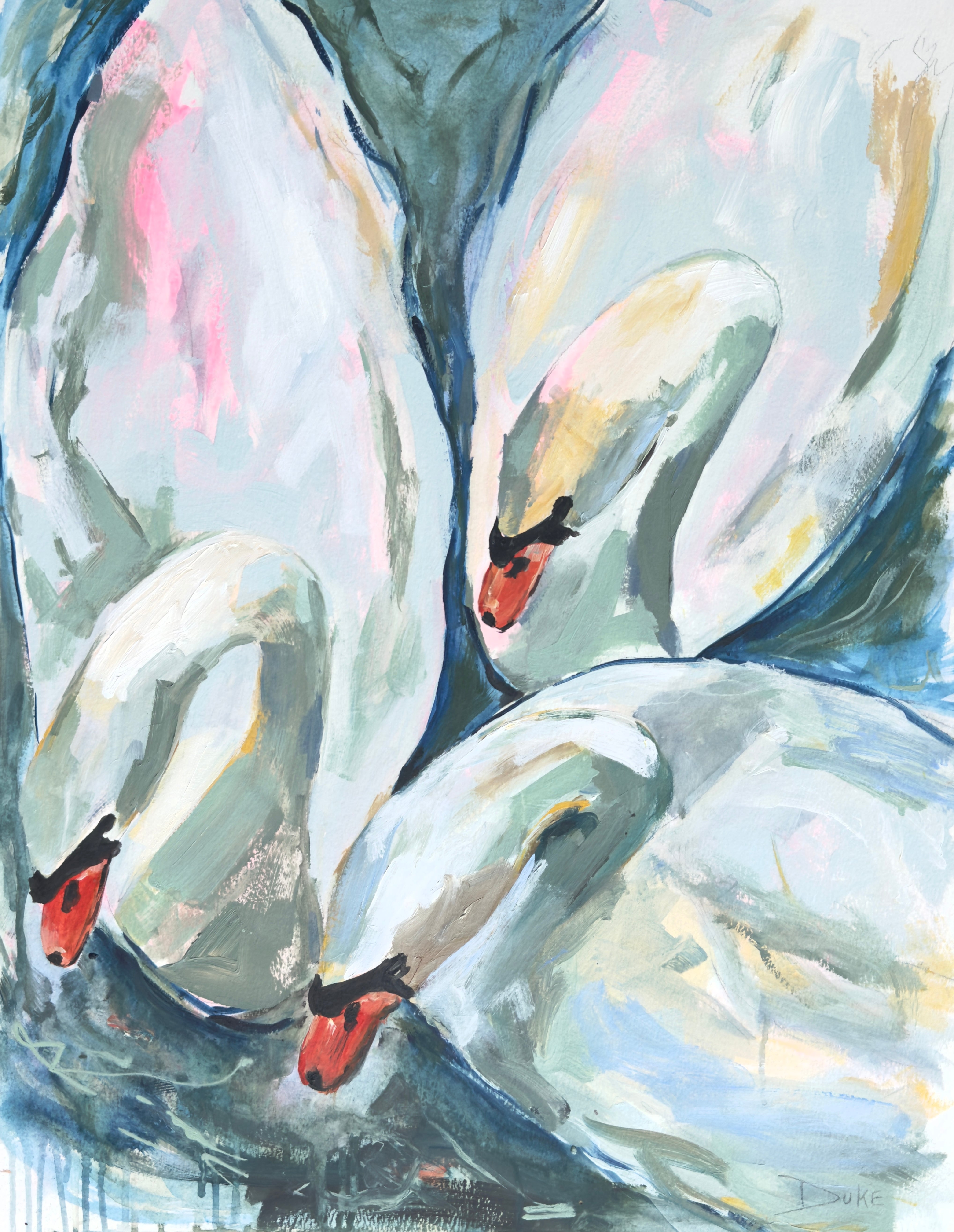 Swan Series